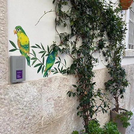 Iris Apartment, Comfort E Stile Nel Cuore Di * Bisceglie